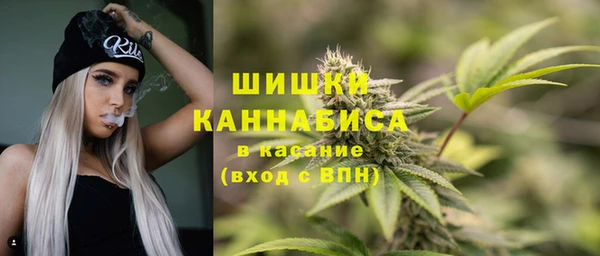 сатива Верхний Тагил