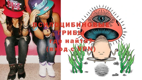 индика Верхнеуральск