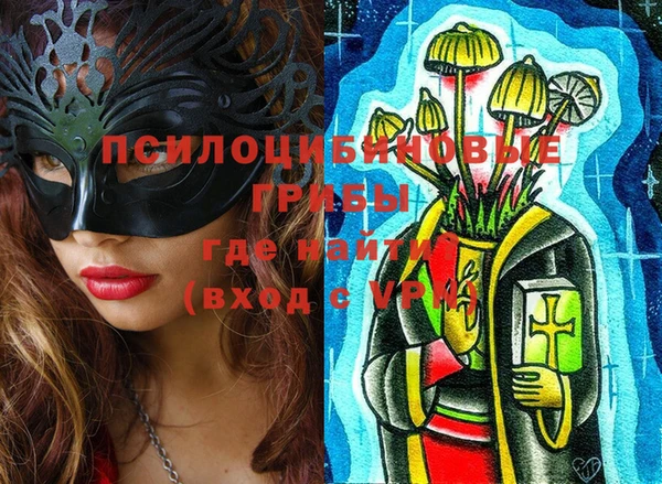 сатива Верхний Тагил