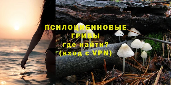 индика Верхнеуральск