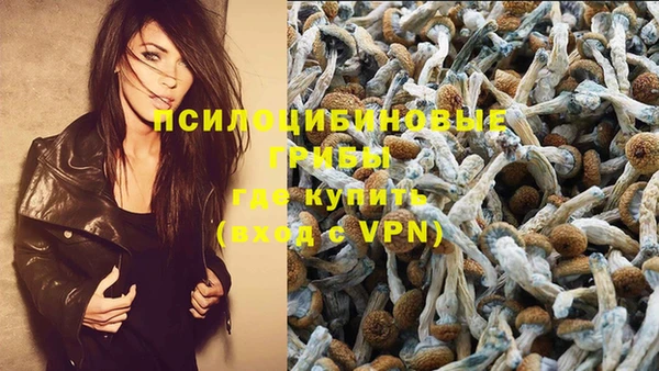 индика Верхнеуральск