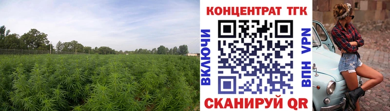 гидра маркетплейс  купить наркотики цена  Курган  ТГК жижа 